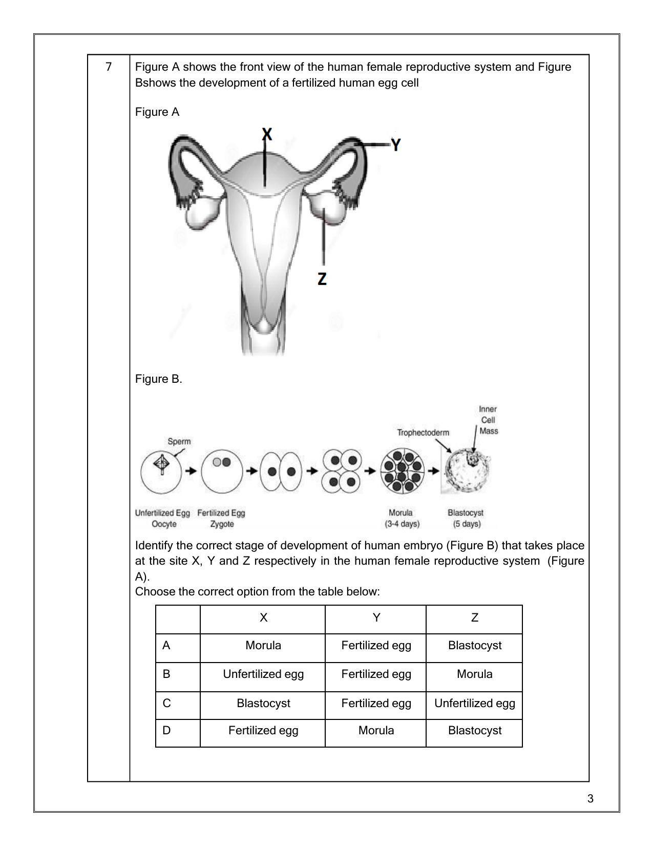 CBSE Class 12th Biology Sample Question Paper 2021-22 - Page 3