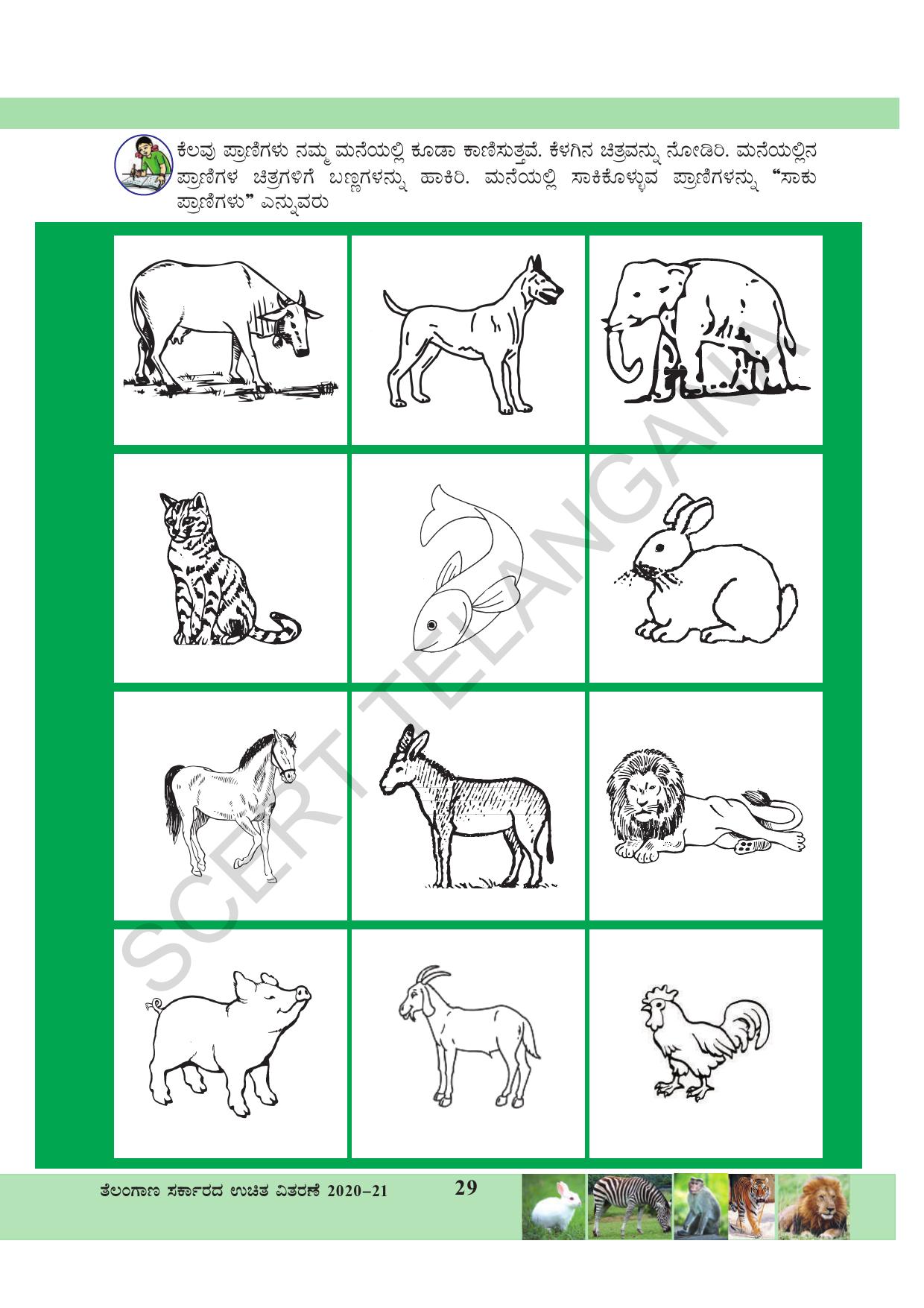 TS SCERT Class 3 Environmental Science (Kannada Medium) Text Book - Page 40