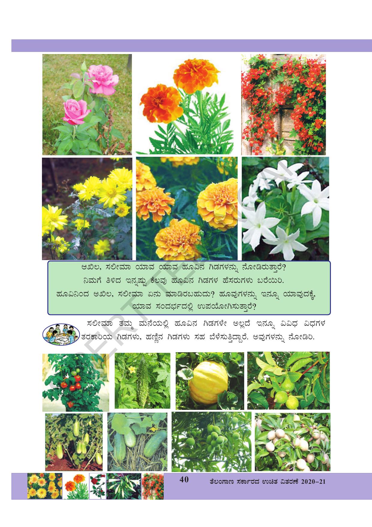 TS SCERT Class 3 Environmental Science (Kannada Medium) Text Book - Page 51