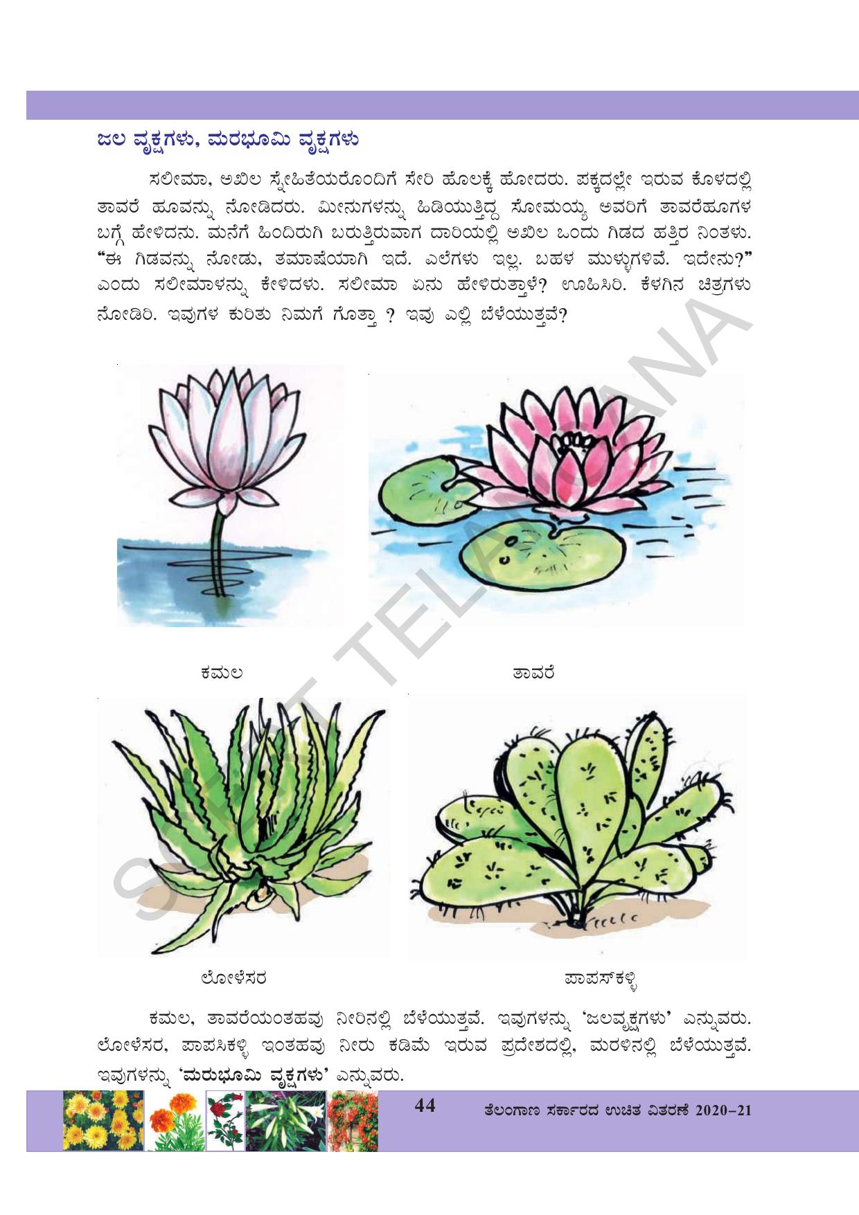 TS SCERT Class 3 Environmental Science (Kannada Medium) Text Book - Page 55