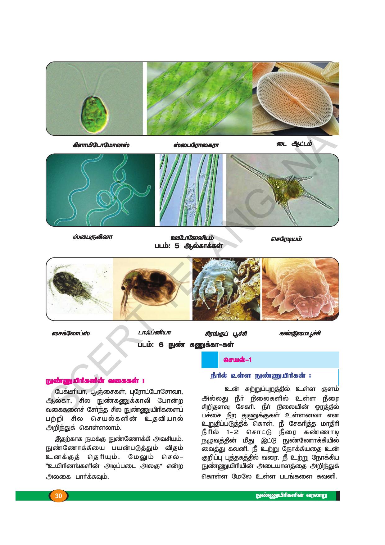 TS SCERT Class 8 Biological Science (Tamil Medium) Text Book - Page 29