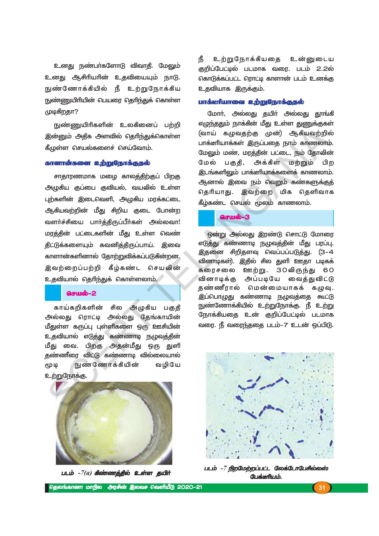 TS SCERT Class 8 Biological Science (Tamil Medium) Text Book - Page 30
