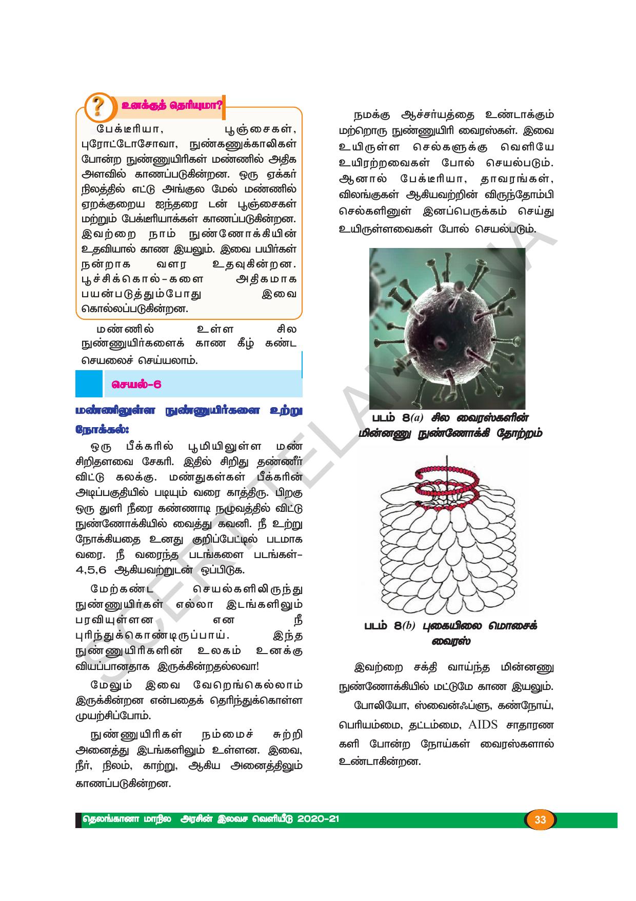 TS SCERT Class 8 Biological Science (Tamil Medium) Text Book - Page 32
