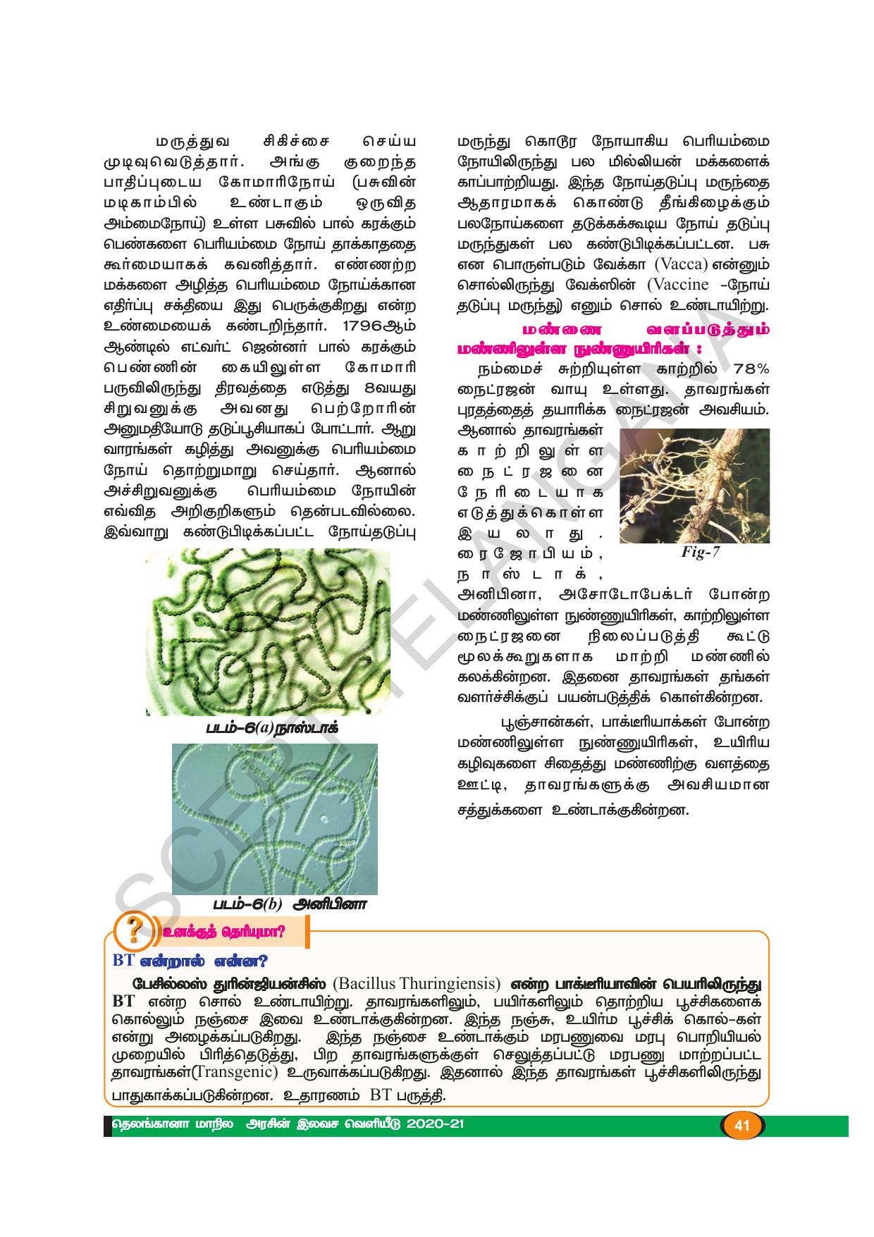 TS SCERT Class 8 Biological Science (Tamil Medium) Text Book - Page 40