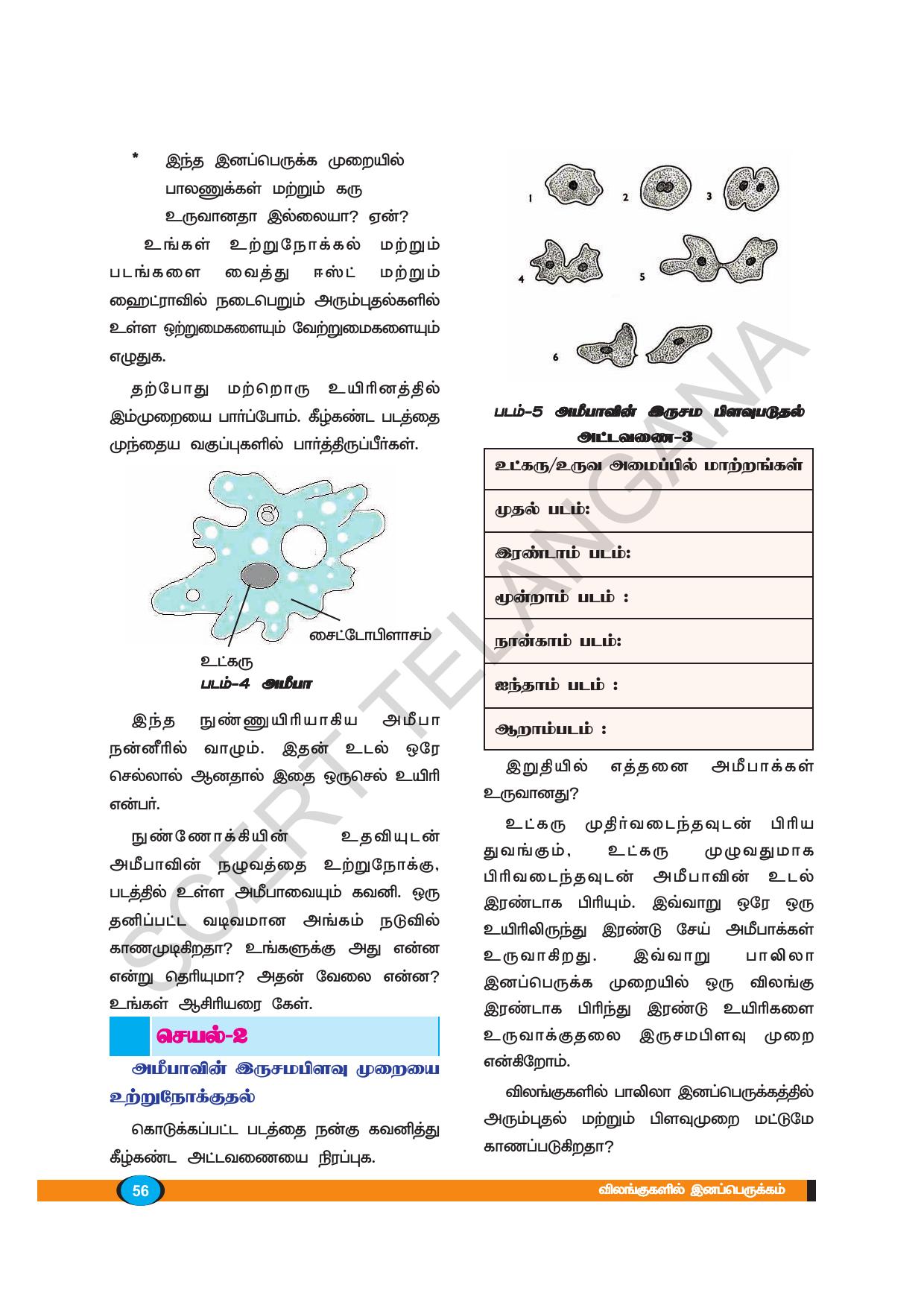 TS SCERT Class 8 Biological Science (Tamil Medium) Text Book - Page 55