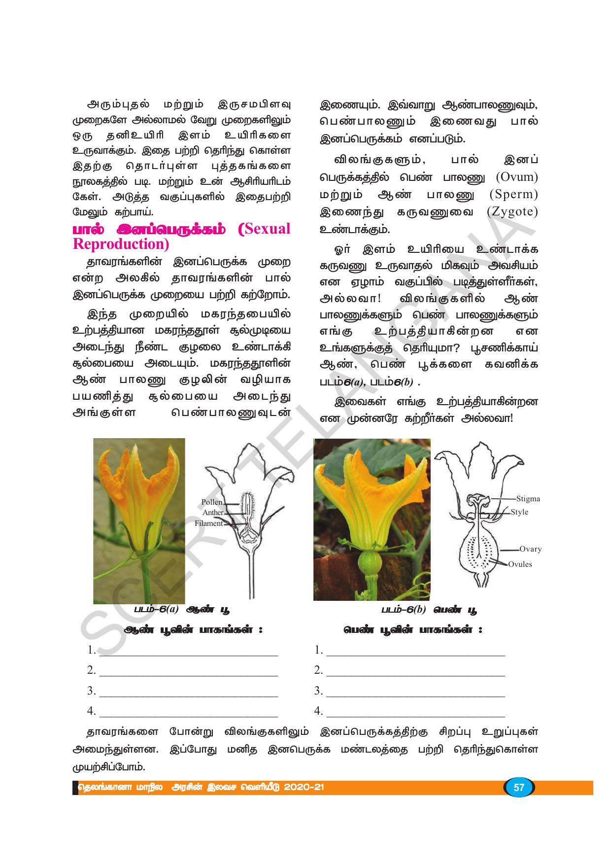 TS SCERT Class 8 Biological Science (Tamil Medium) Text Book - Page 56