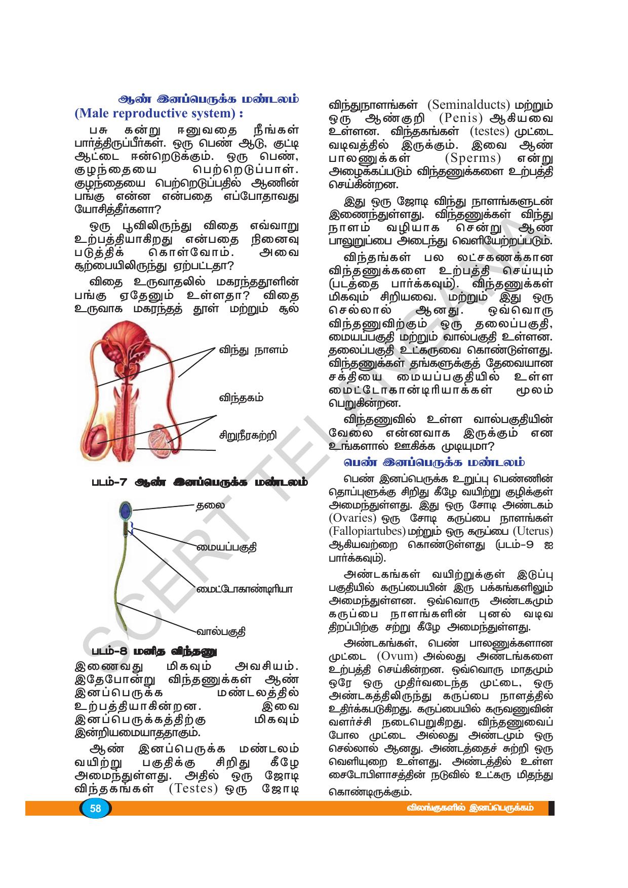 TS SCERT Class 8 Biological Science (Tamil Medium) Text Book - Page 57