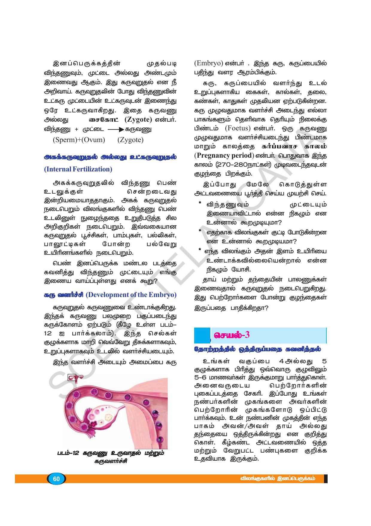 TS SCERT Class 8 Biological Science (Tamil Medium) Text Book - Page 59