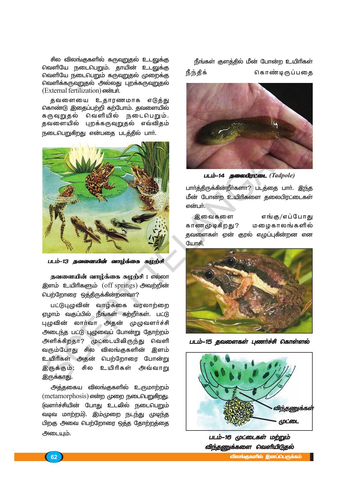 TS SCERT Class 8 Biological Science (Tamil Medium) Text Book - Page 61