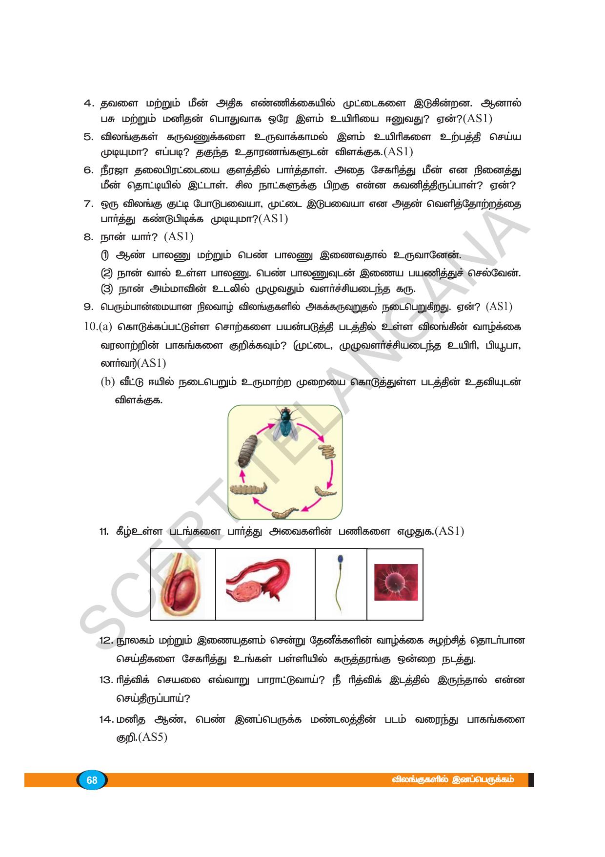 TS SCERT Class 8 Biological Science (Tamil Medium) Text Book - Page 67