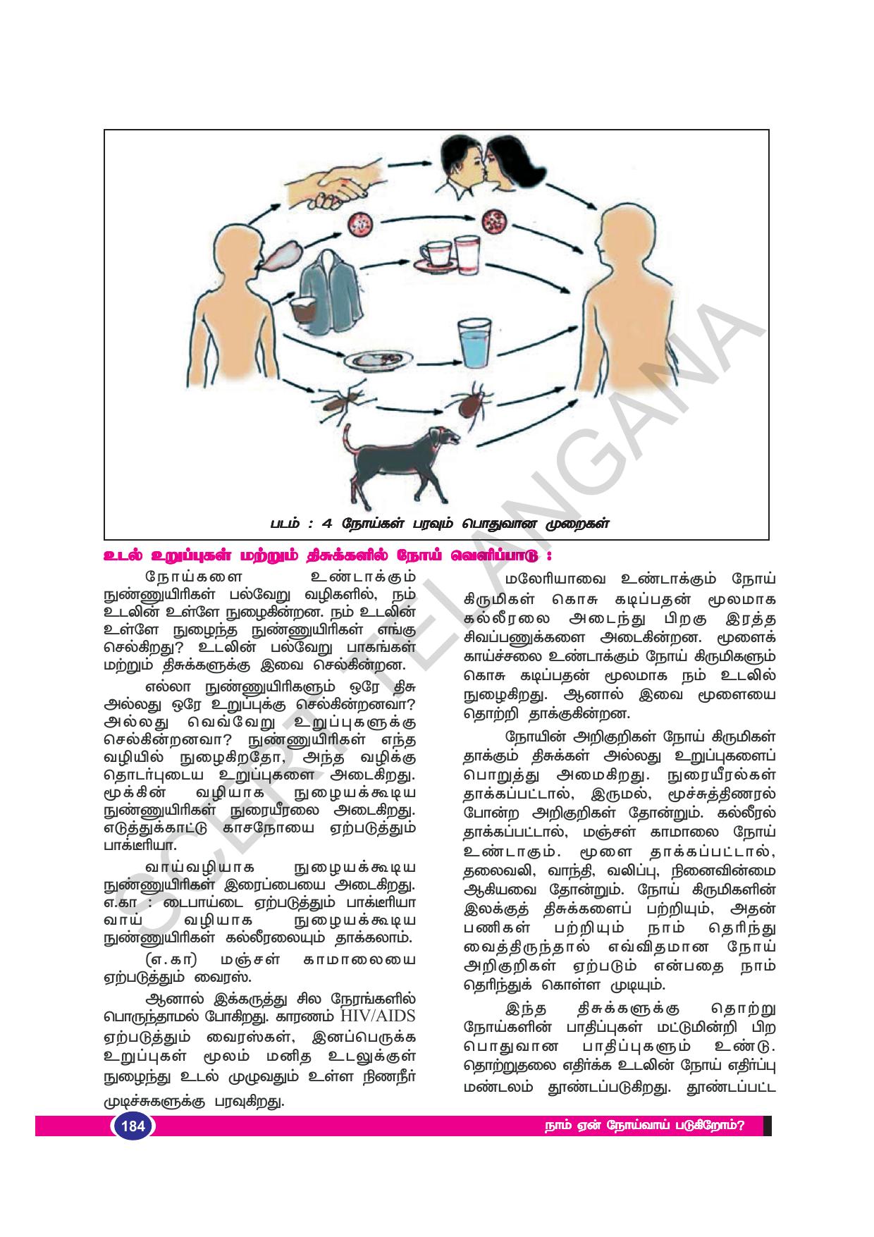 TS SCERT Class 8 Biological Science (Tamil Medium) Text Book - Page 94