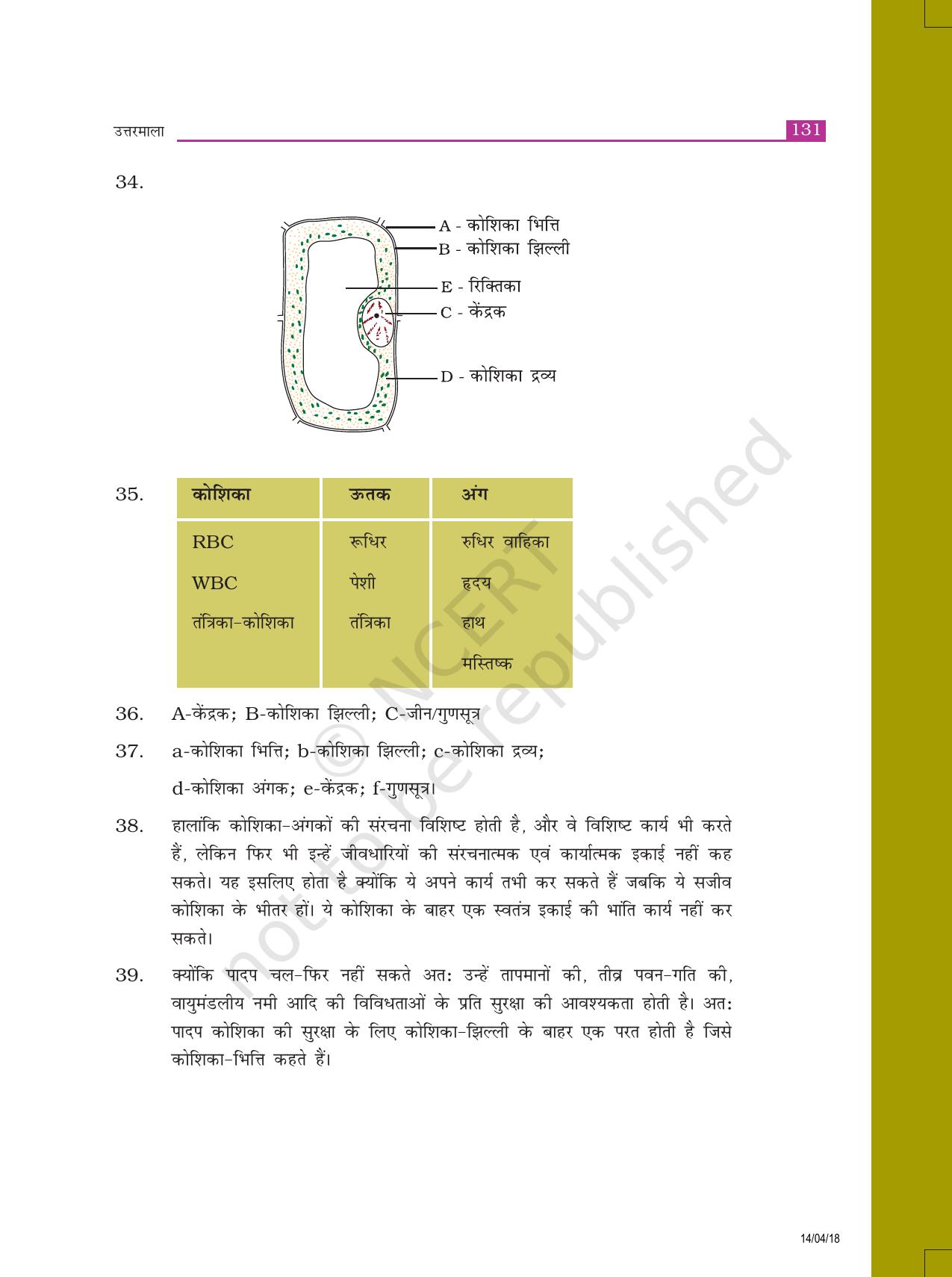 NCERT Exemplar Class 8: विज्ञान उत्तरमाला - Page 23