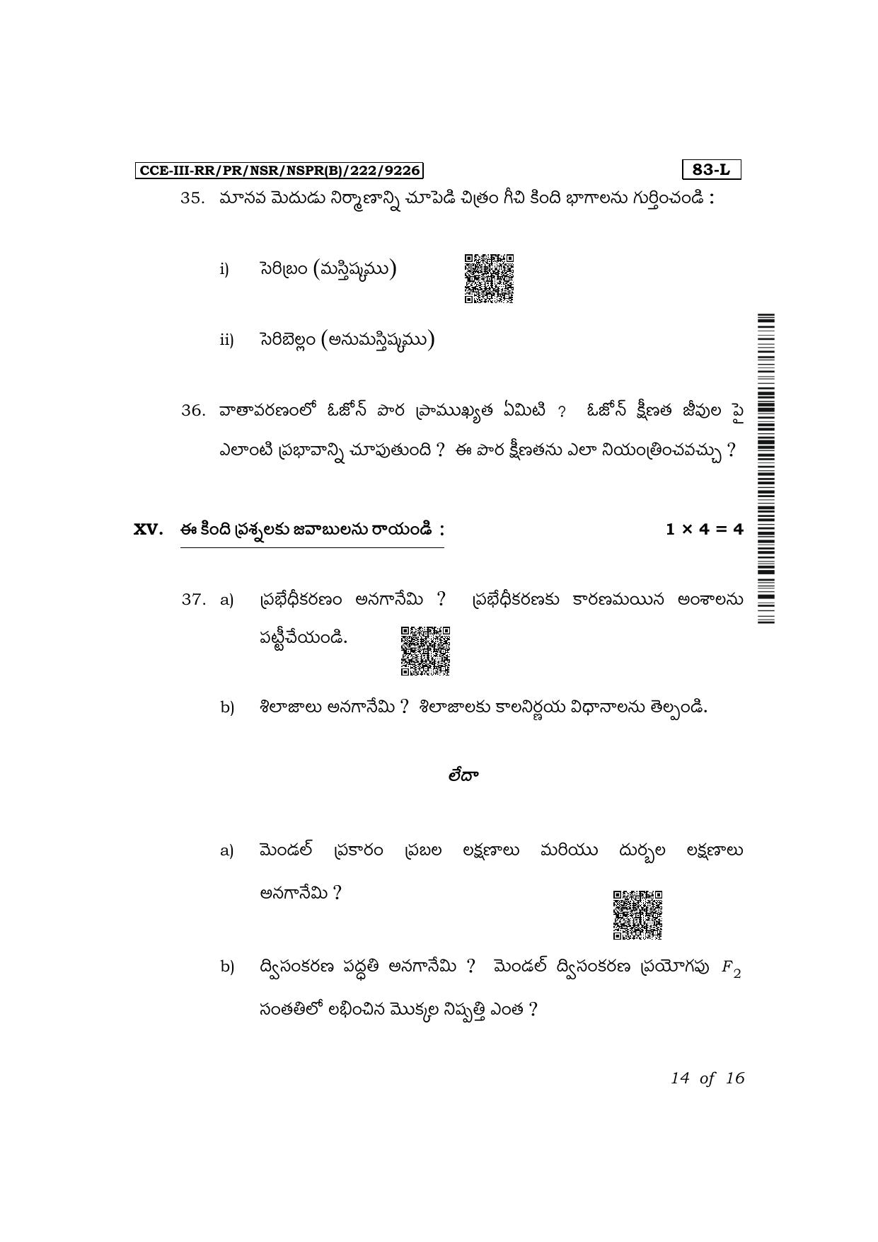 Karnataka SSLC Science (Telugu Medium) Exam 3 Question Paper 2024 (B Version) - Page 14