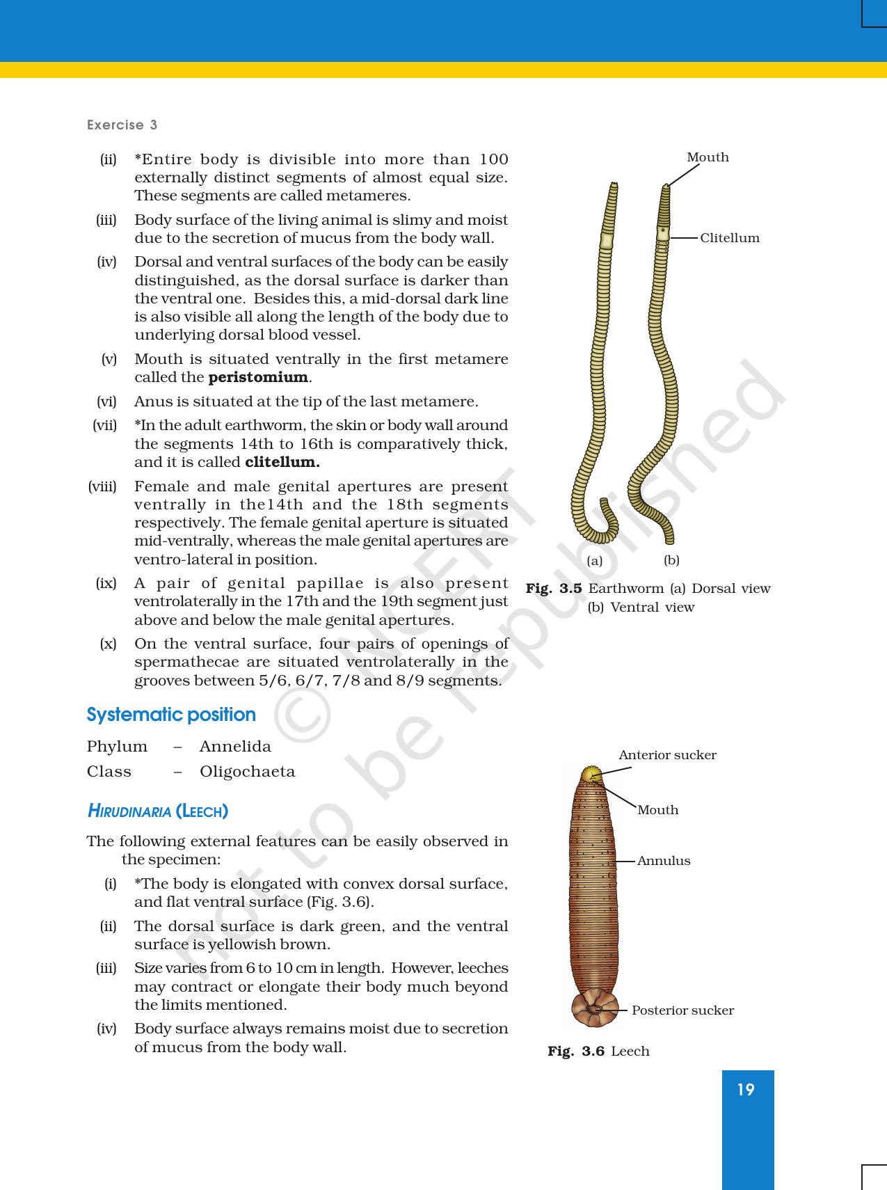 NCERT Laboratory Manuals for Class XI Biology - Exercise 3 - Page 4
