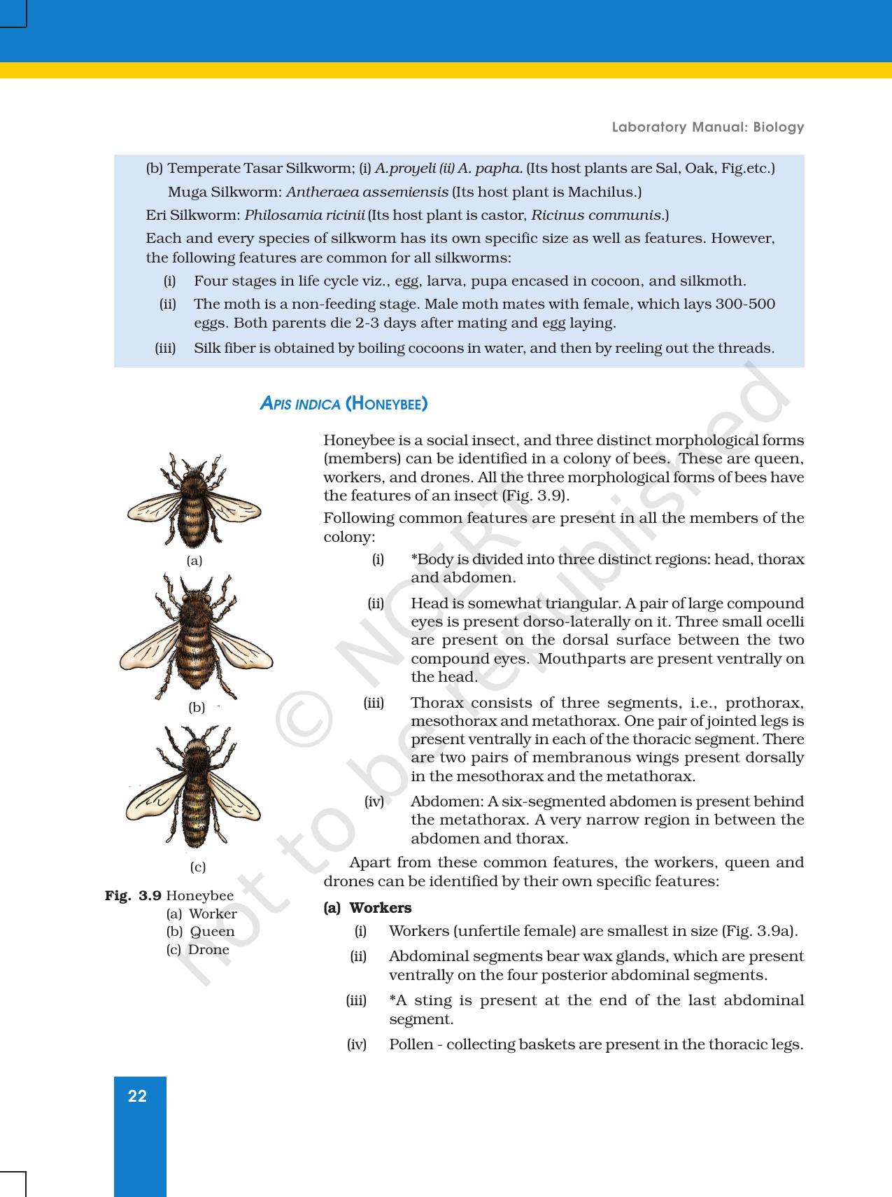 NCERT Laboratory Manuals for Class XI Biology - Exercise 3 - Page 7