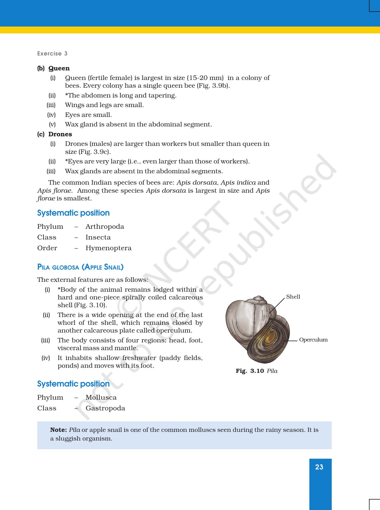 NCERT Laboratory Manuals for Class XI Biology - Exercise 3 - Page 8