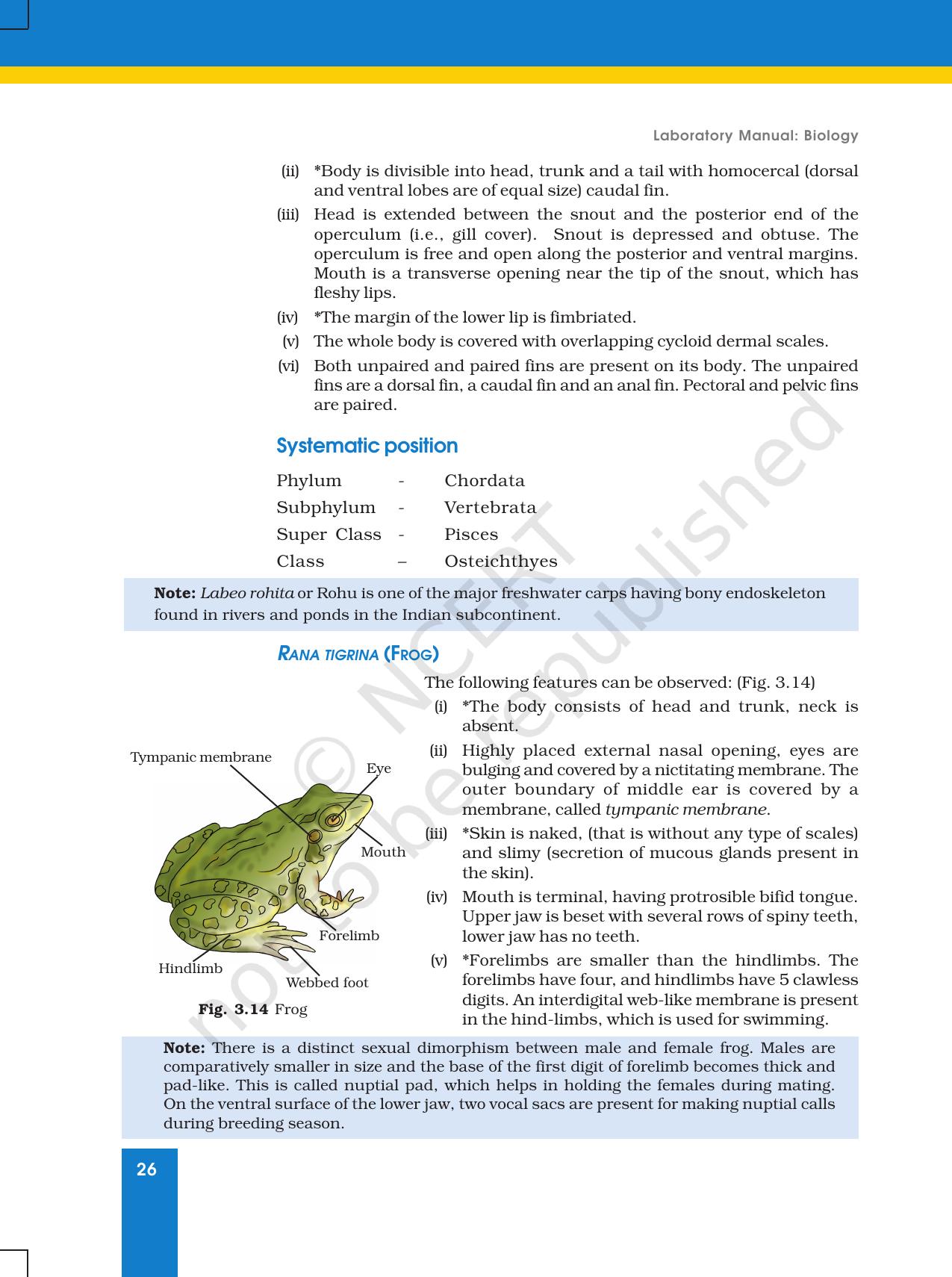NCERT Laboratory Manuals for Class XI Biology - Exercise 3 - Page 11