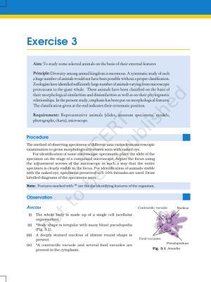 NCERT Laboratory Manuals for Class XI Biology - Exercise 3