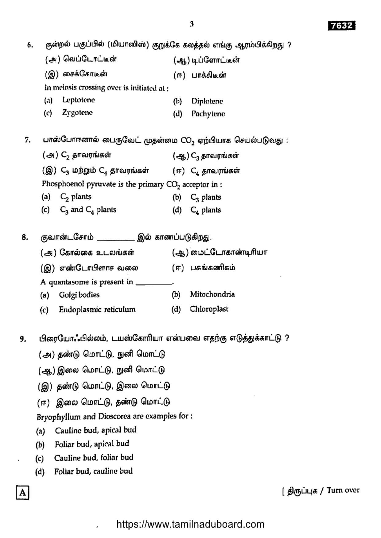 TN Class 11 Botany 7632 Set A Question Papers 2024 - Page 3