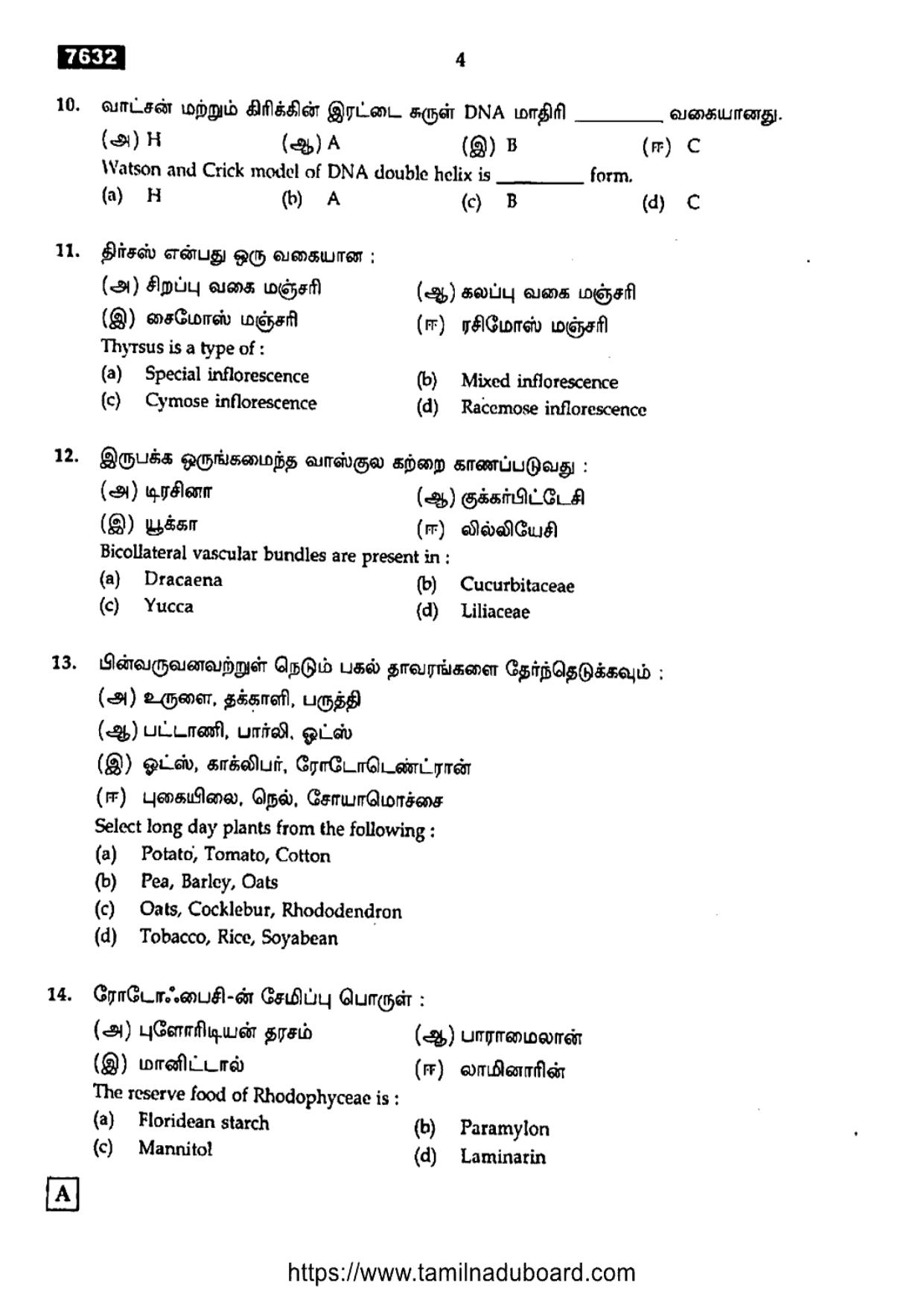 TN Class 11 Botany 7632 Set A Question Papers 2024 - Page 4