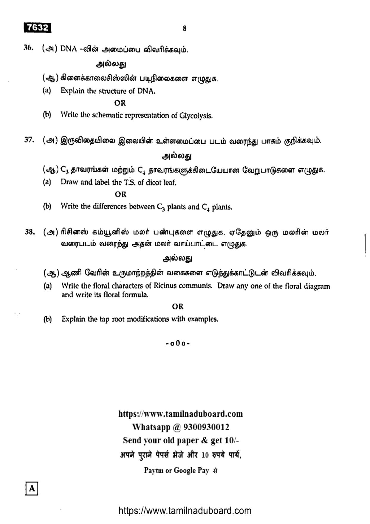 TN Class 11 Botany 7632 Set A Question Papers 2024 - Page 8