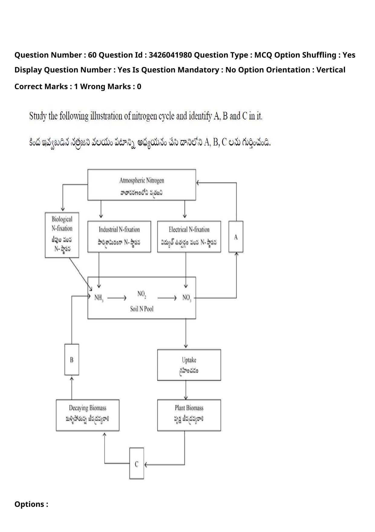 TS EAMCET 2021 Agriculture and Medical Question Paper with Key (9 August 2021 Afternoon (English & Telugu)) - Page 76