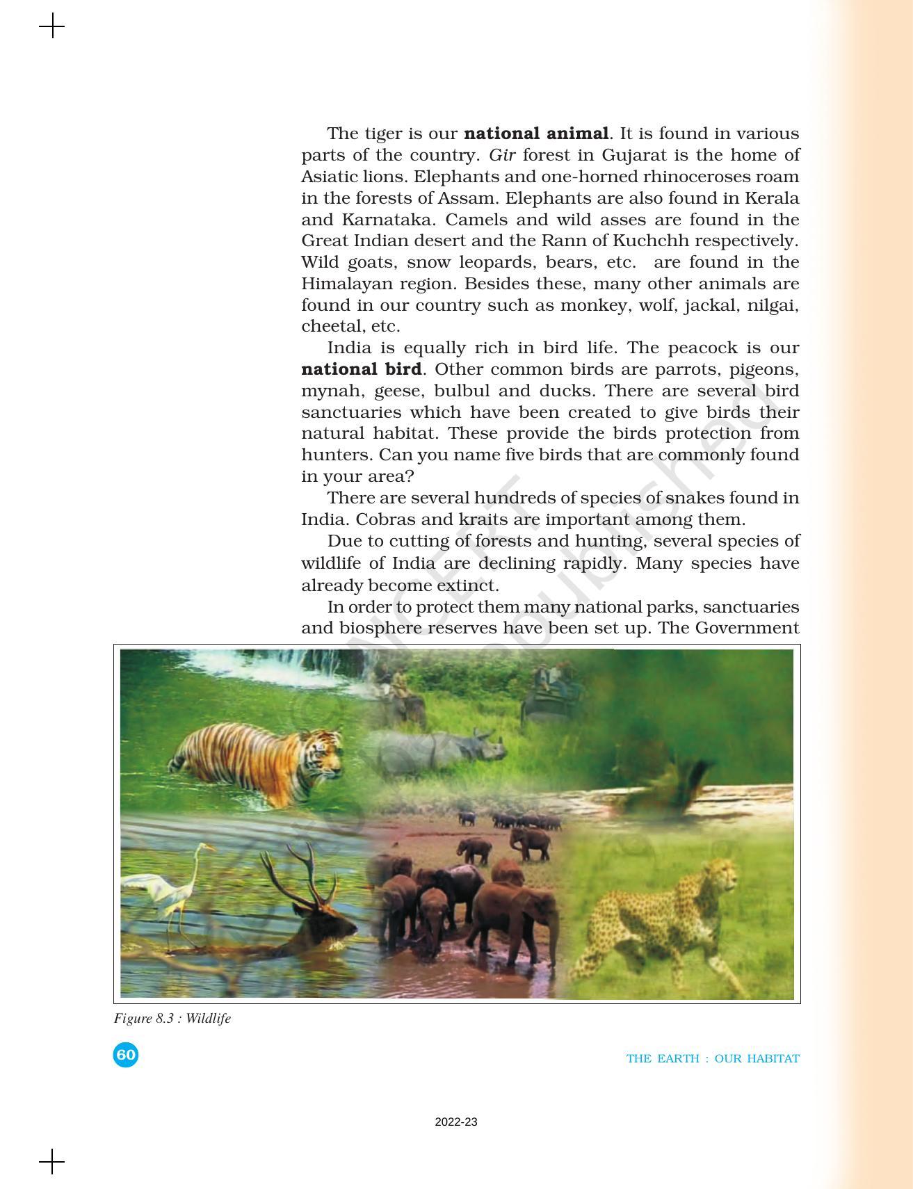 NCERT Book for Class 6 Social Science(Geography) : Chapter 8-India: Climate, Vegetation, and Wildlife - Page 5