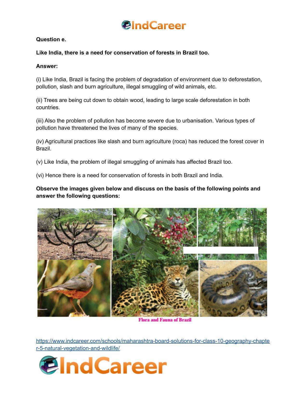 Maharashtra Board Solutions for Class 10- Geography: Chapter 5- Natural Vegetation and Wildlife - Page 10