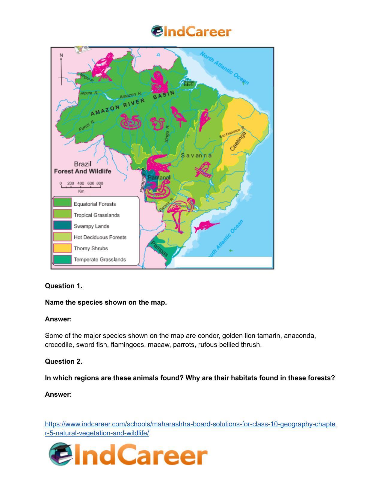 Maharashtra Board Solutions for Class 10- Geography: Chapter 5- Natural Vegetation and Wildlife - Page 19