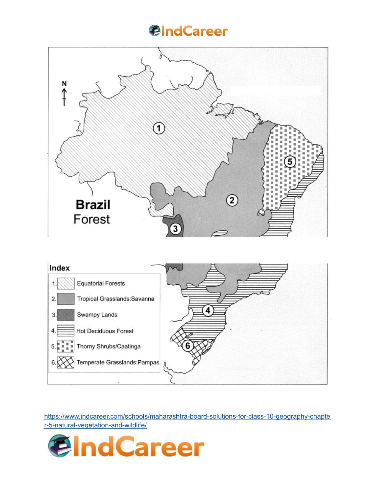 Maharashtra Board Solutions for Class 10- Geography: Chapter 5- Natural Vegetation and Wildlife - Page 51
