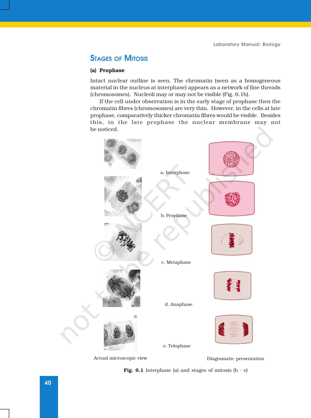 NCERT Laboratory Manuals for Class XI Biology - Exercise 6 - Page 2
