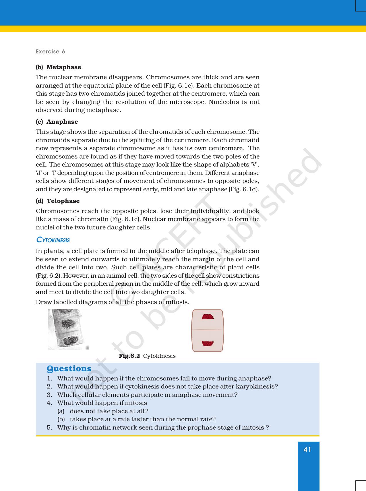 NCERT Laboratory Manuals for Class XI Biology - Exercise 6 - Page 3