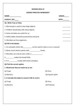 Worksheet for Class 4 Science Bacteria Assignment