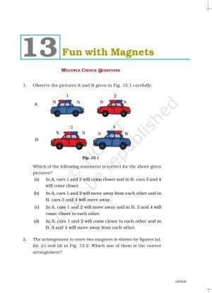 NCERT Exemplar Book for Class 6 Science: Chapter 13-Fun with Magnets