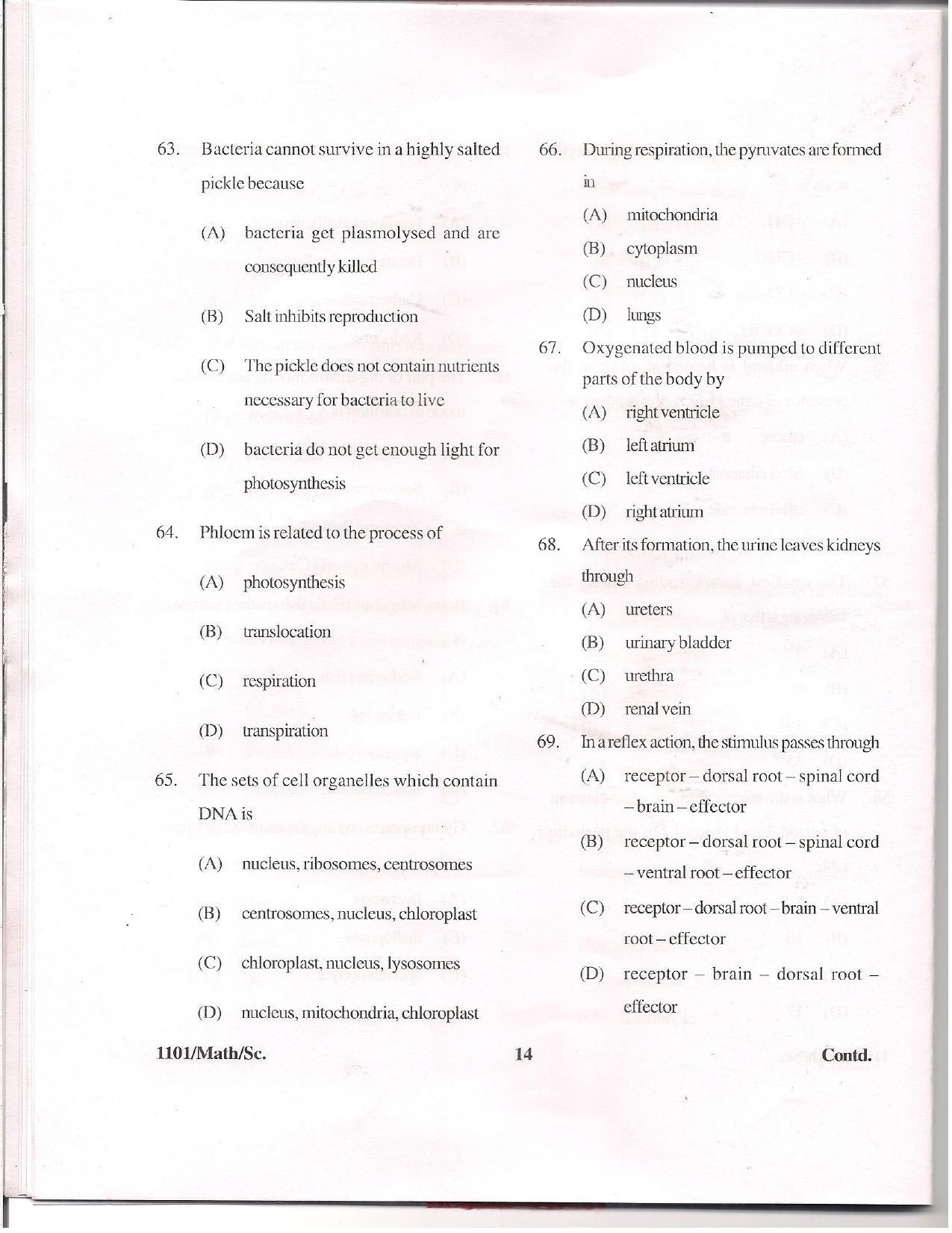 APJEE Mathematics & Science 2011 Question Paper - Page 13