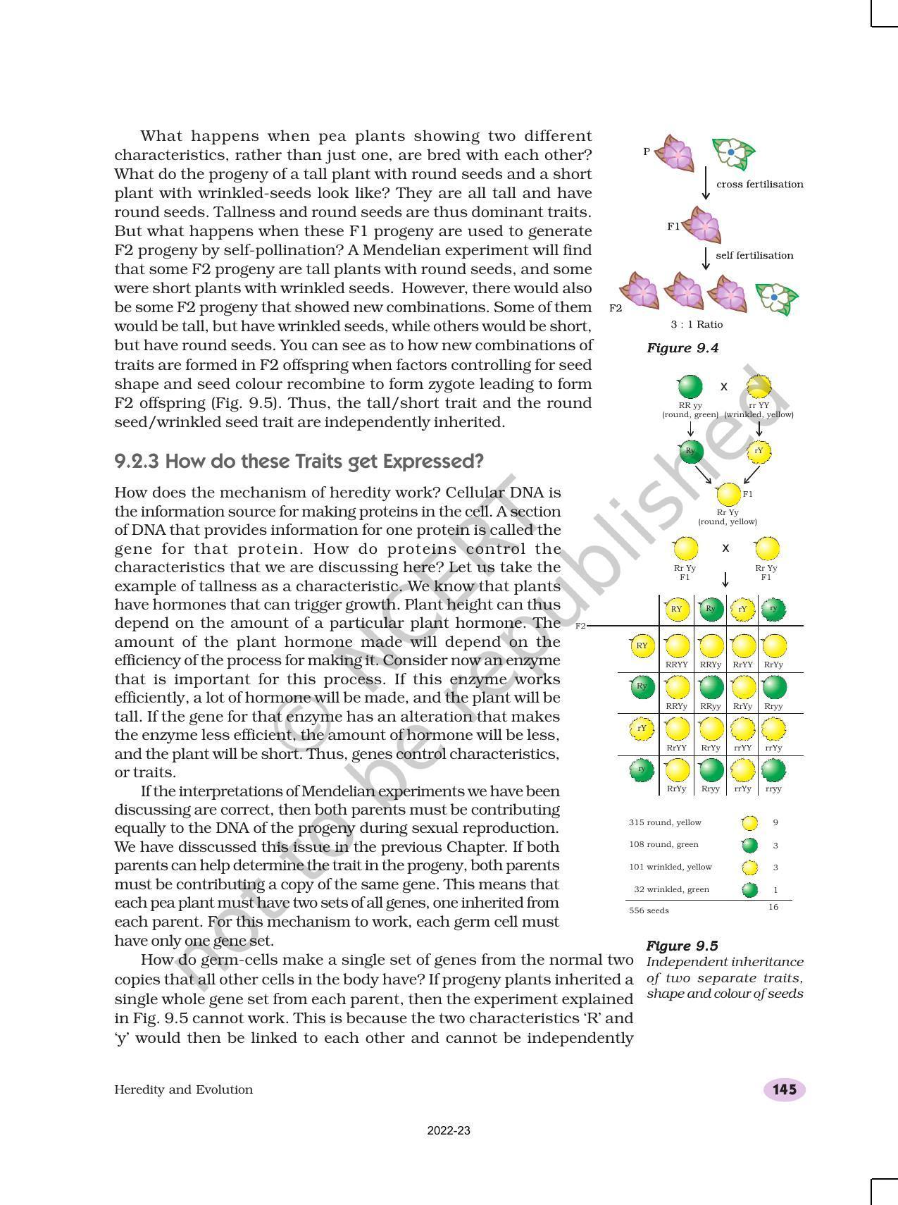 NCERT Book for Class 10 Science Chapter 9 Heredity and Evolution - Page 4