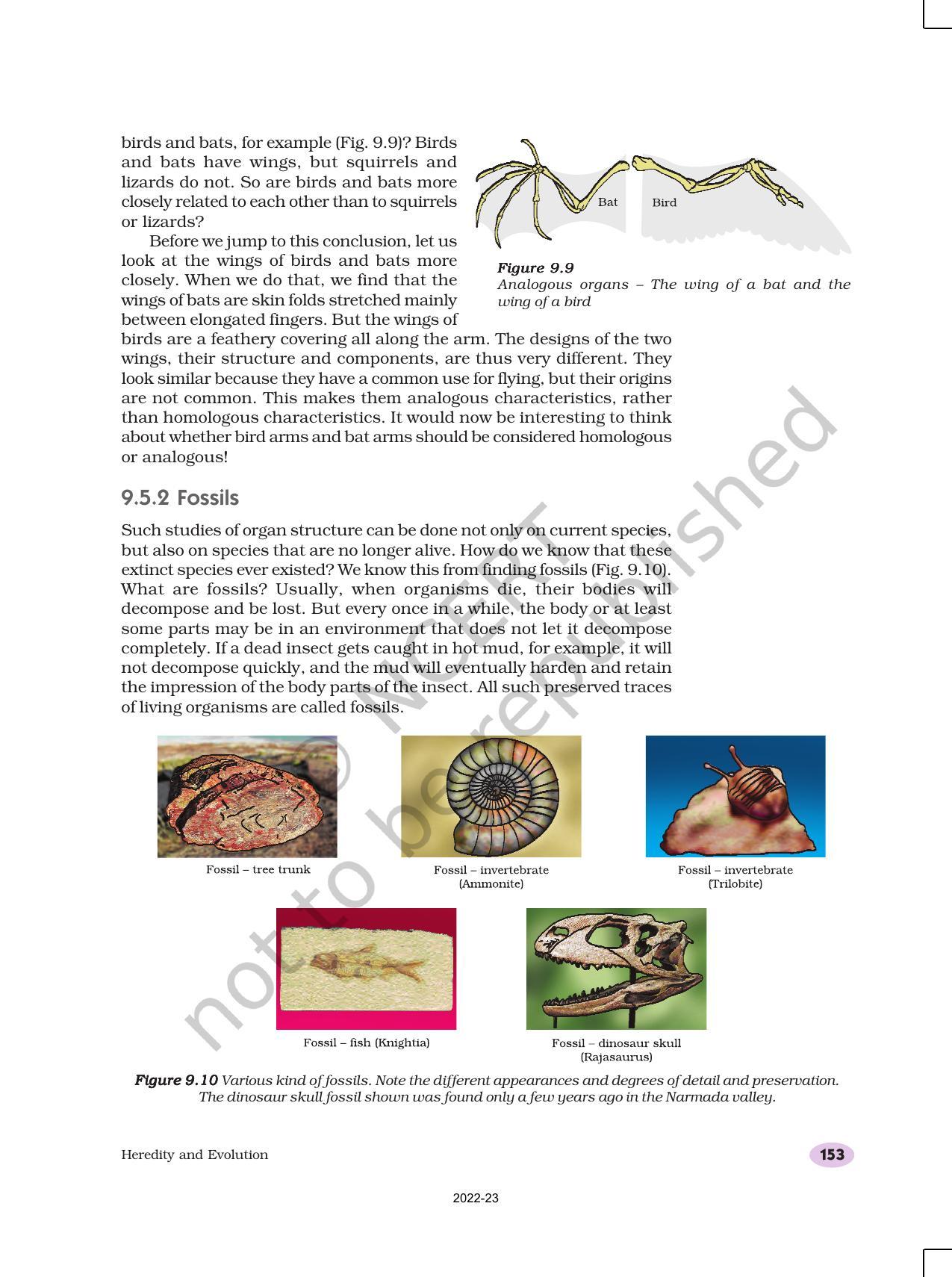 NCERT Book for Class 10 Science Chapter 9 Heredity and Evolution - Page 12