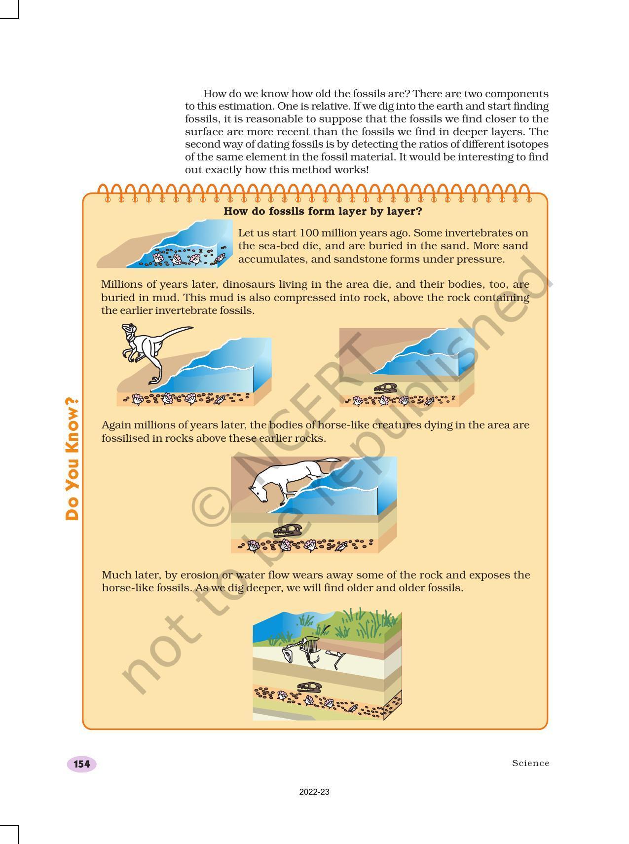 NCERT Book for Class 10 Science Chapter 9 Heredity and Evolution - Page 13