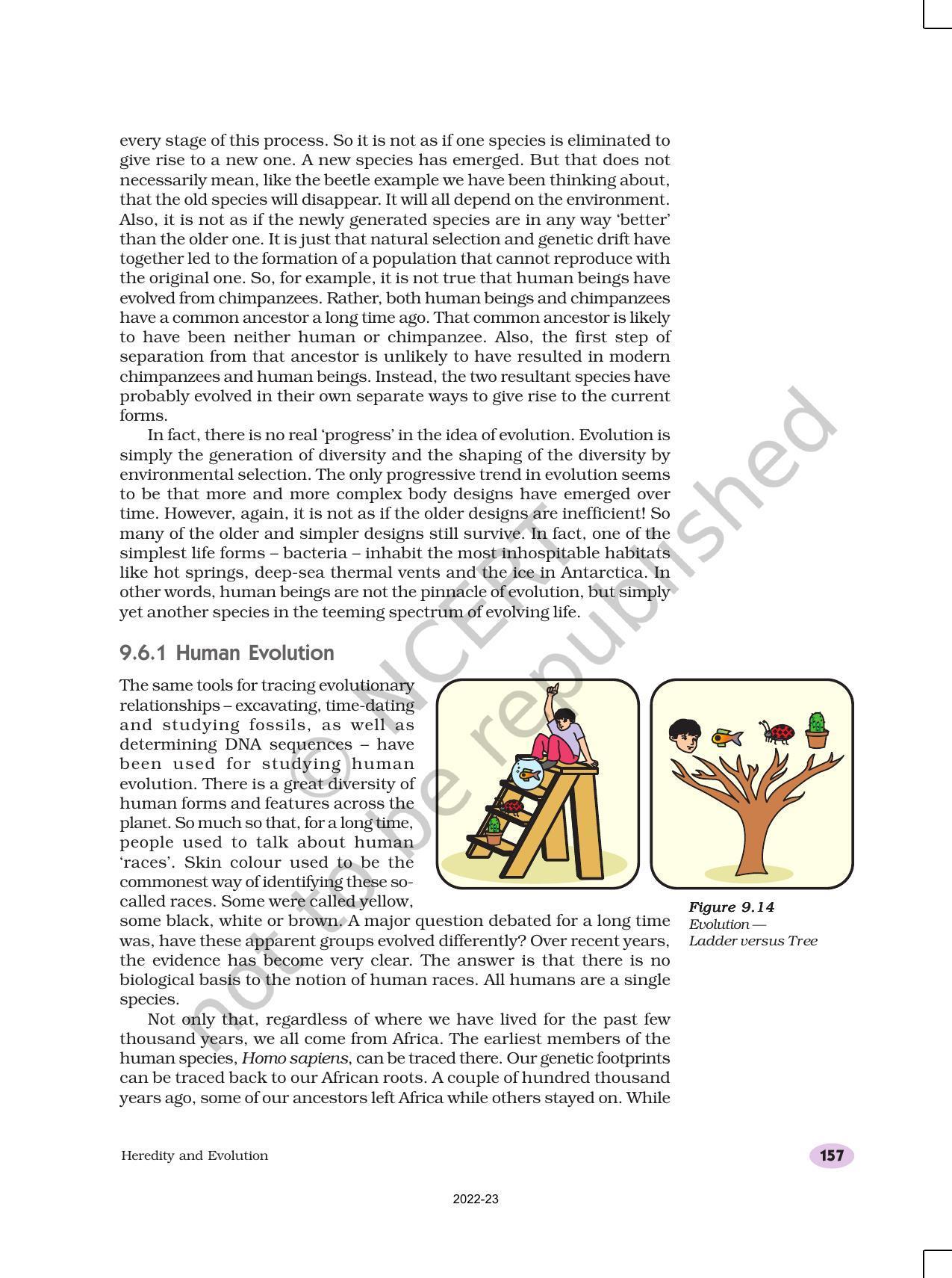 NCERT Book for Class 10 Science Chapter 9 Heredity and Evolution - Page 16