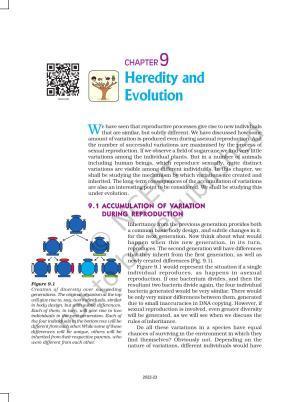 NCERT Book for Class 10 Science Chapter 9 Heredity and Evolution