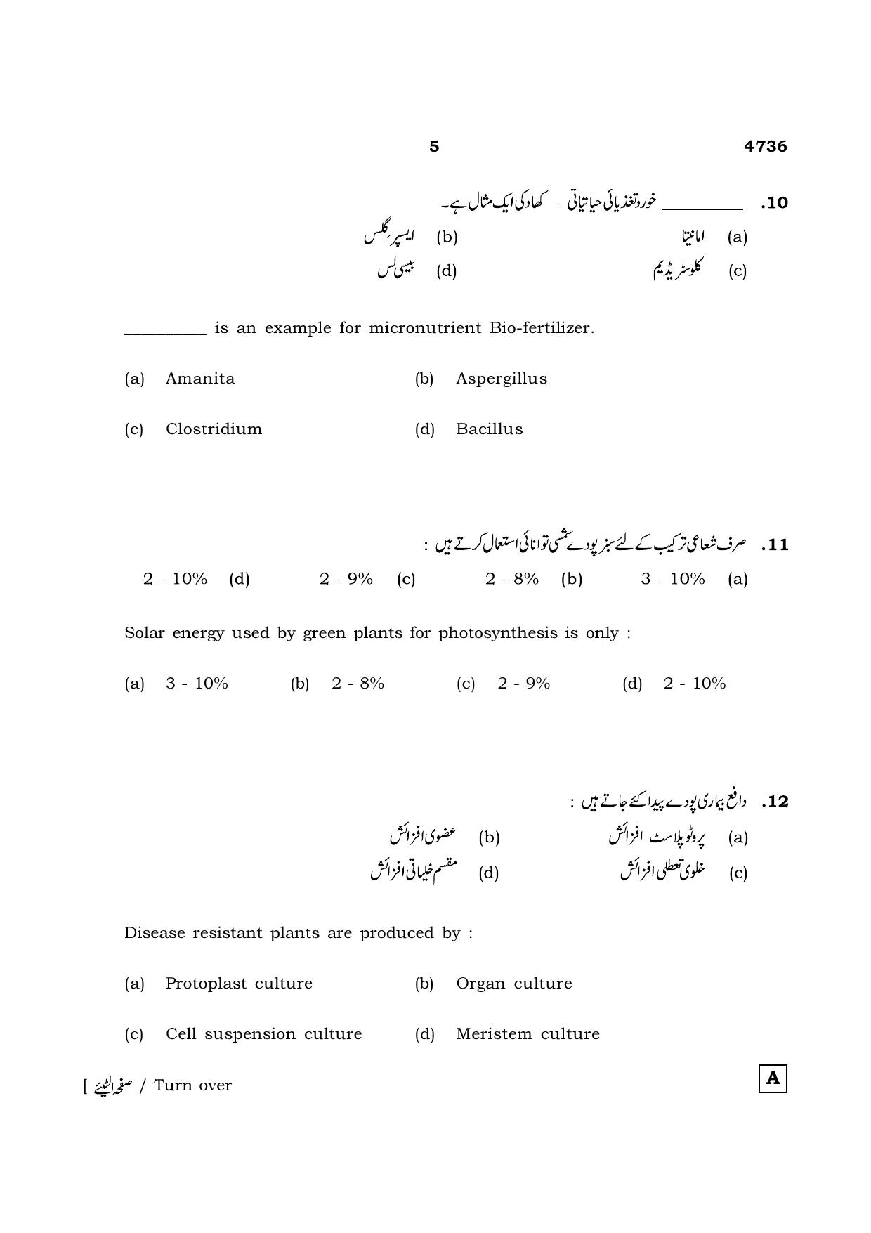 TN Class 12 2021 Question Papers (All Subjects) - Page 952