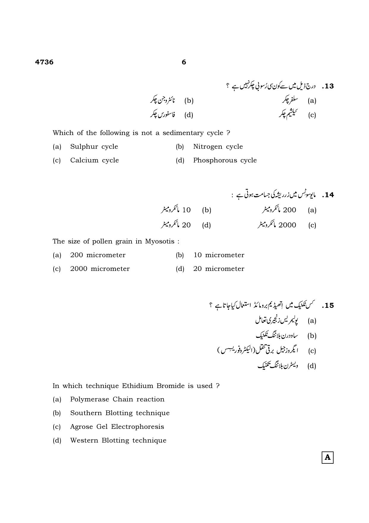 TN Class 12 2021 Question Papers (All Subjects) - Page 953