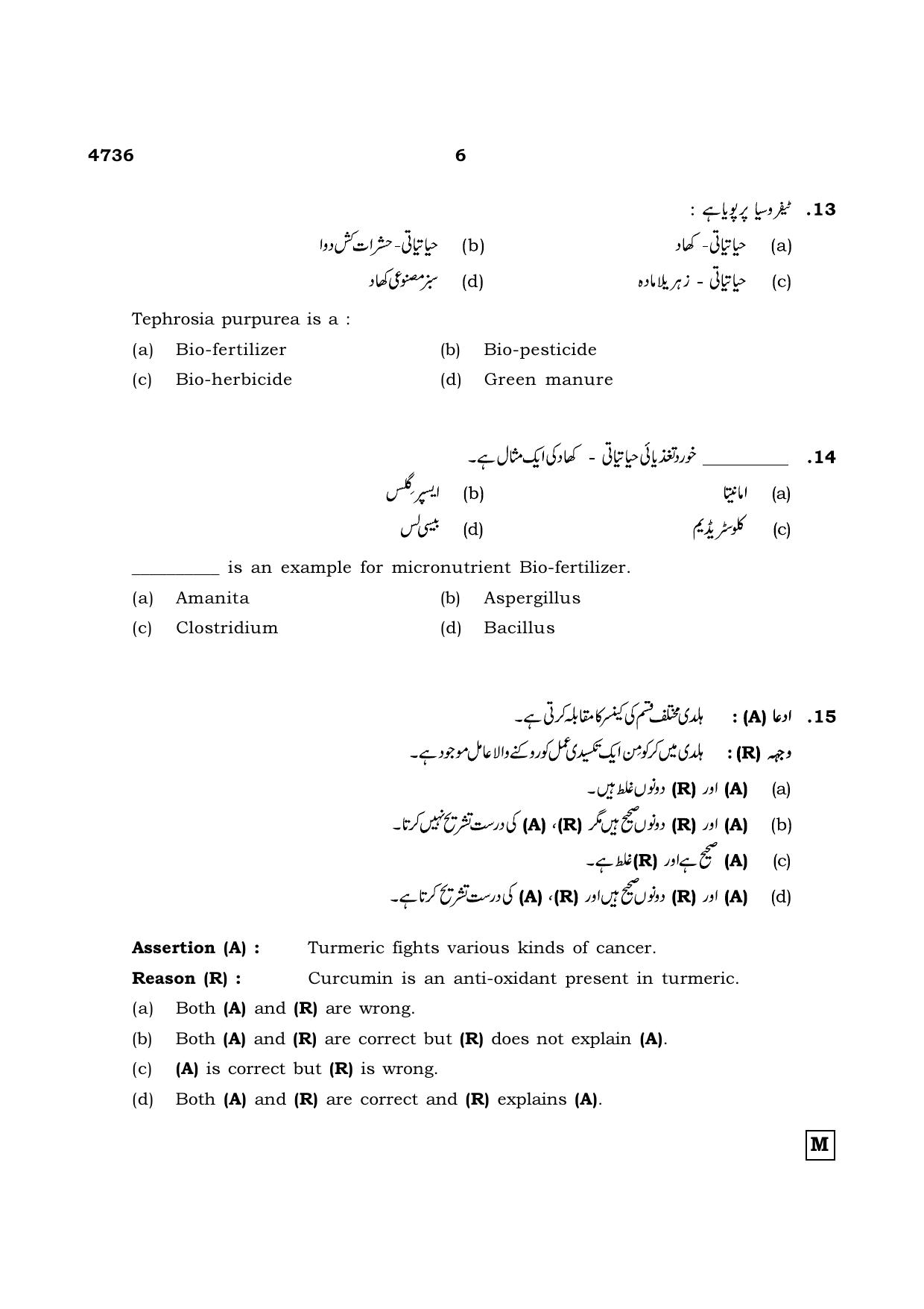 TN Class 12 2021 Question Papers (All Subjects) - Page 977