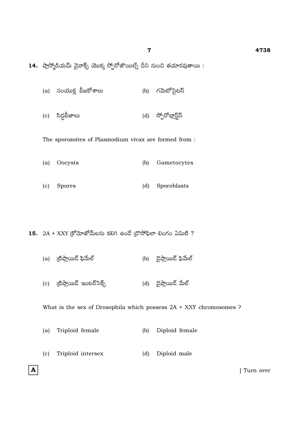 TN Class 12 2021 Question Papers (All Subjects) - Page 1026