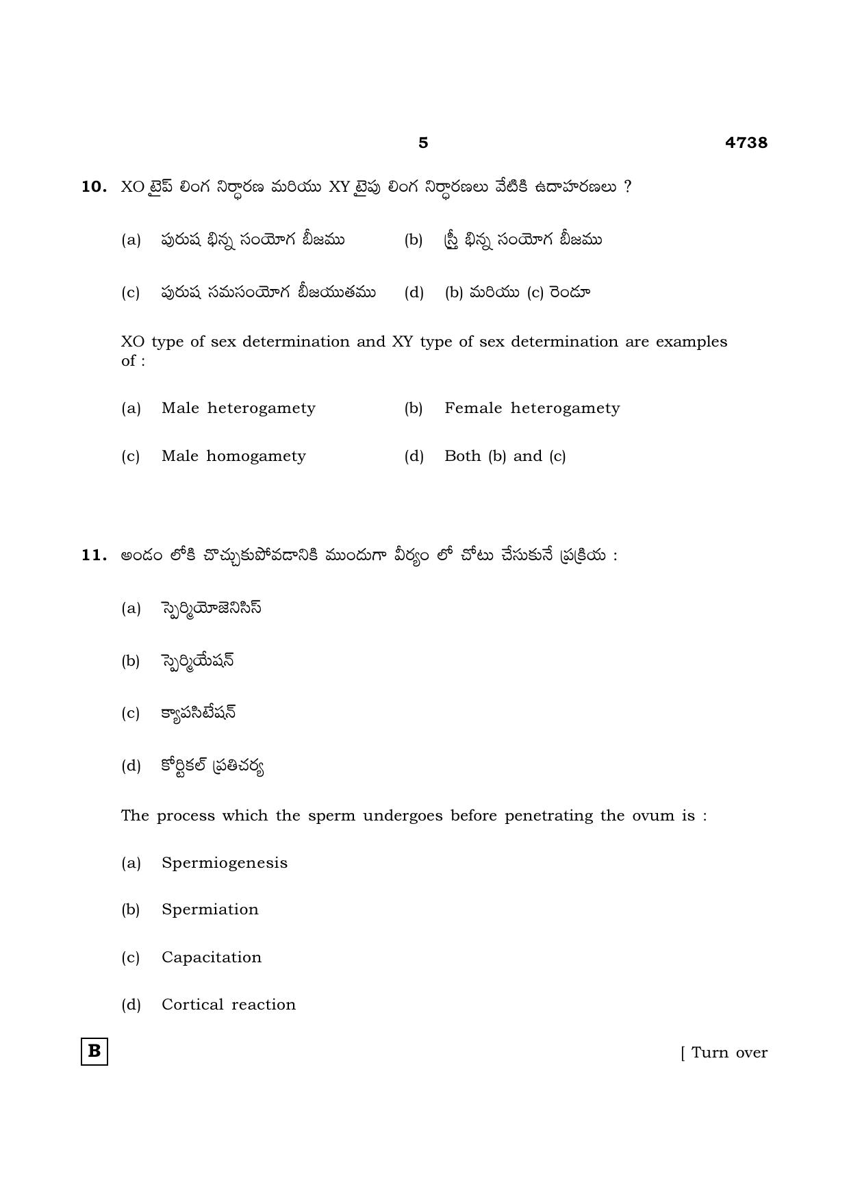 TN Class 12 2021 Question Papers (All Subjects) - Page 1036