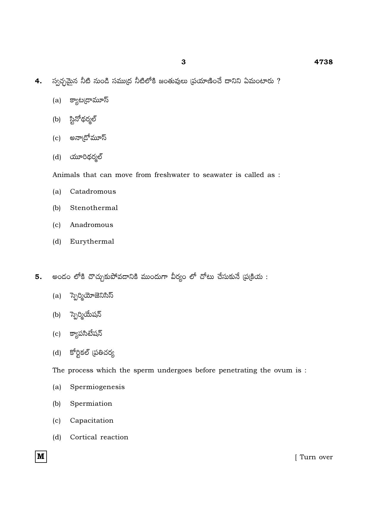 TN Class 12 2021 Question Papers (All Subjects) - Page 1046