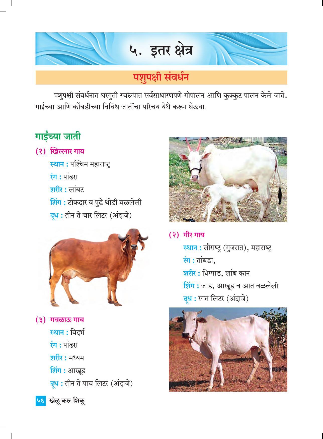 Maharashtra Board Class 4 Khelu karu Shiku (Marathi Medium) Textbook - Page 65