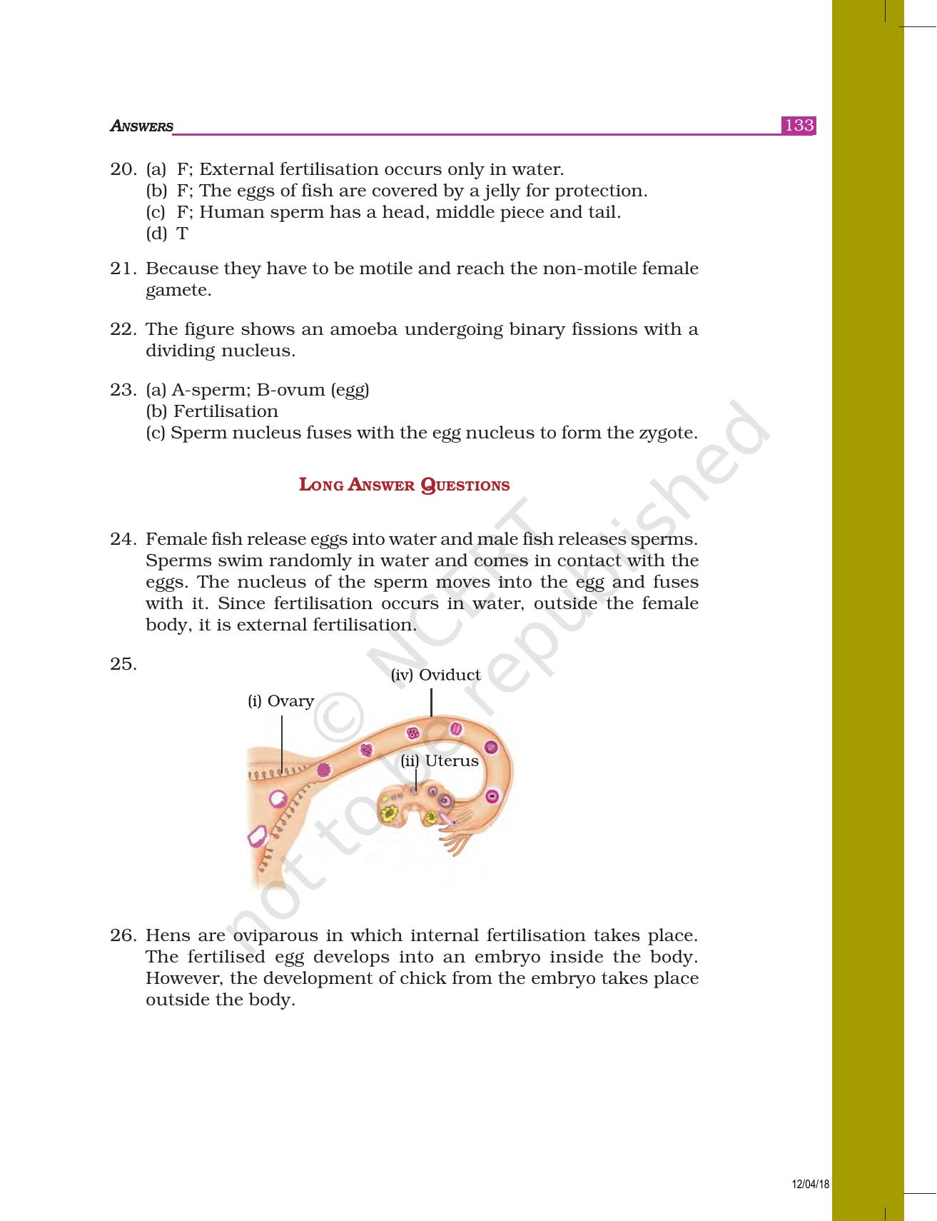 NCERT Exemplar Class 8: Science Answers - Page 24