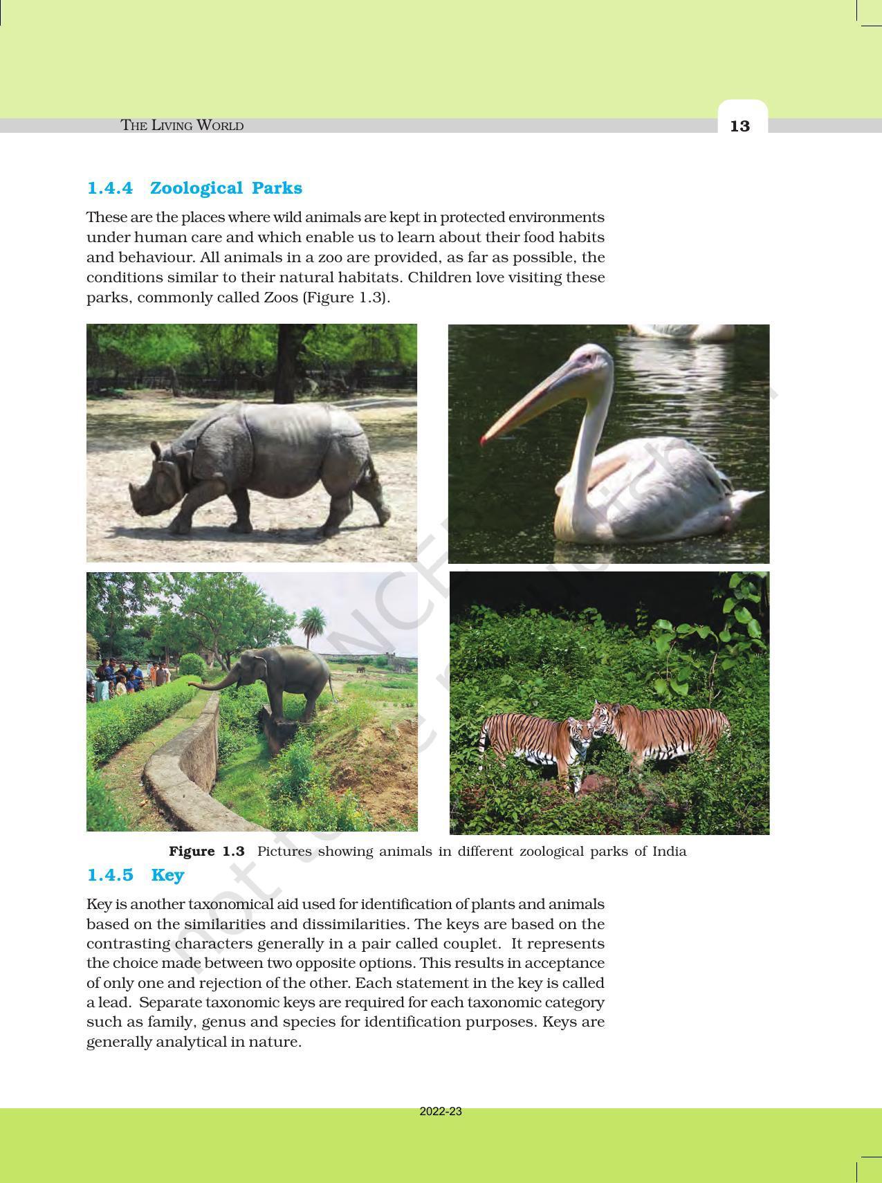 NCERT Book for Class 11 Biology Chapter 1 The Living World - Page 13