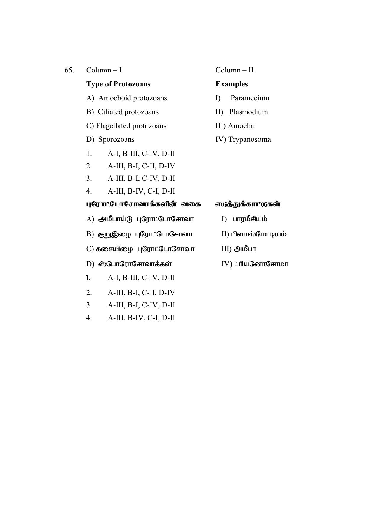 AP DEECET Biological Science (Tamil Medium) 2021 Question Paper - Page 31